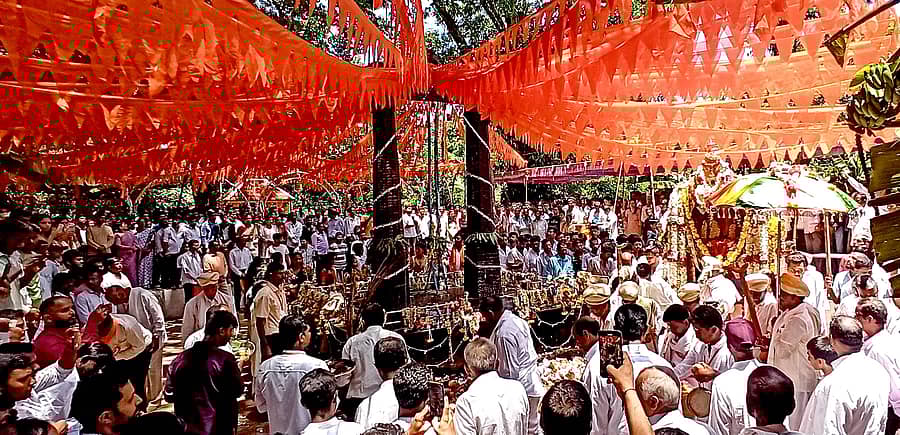 ಸೋಮವಾರಪೇಟೆ ತಾಲ್ಲೂಕಿನ ತೋಳೂರುಶೆಟ್ಟಳ್ಳಿ ಸುಗ್ಗಿ ಉತ್ಸವದಲ್ಲಿ ಸಬ್ಬಮ್ಮ ದೇವರನ್ನು ಸುಗ್ಗಿ ಕಟ್ಟೆಗೆ ಪ್ರದಕ್ಷಿಣೆ ಹಾಕಿಸಲಾಯಿತು