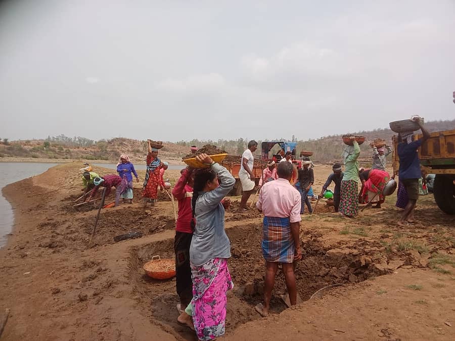 ಹೊನ್ನಾಳಿ ತಾಲ್ಲೂಕಿನ ಕೋಣನತಲೆ ಗ್ರಾಮದಲ್ಲಿ ಕೆರೆ ಹೂಳೆತ್ತುವ ಕಾಯಕದಲ್ಲಿ ತೊಡಗಿರುವ ಕೂಲಿ ಕಾರ್ಮಿಕರು