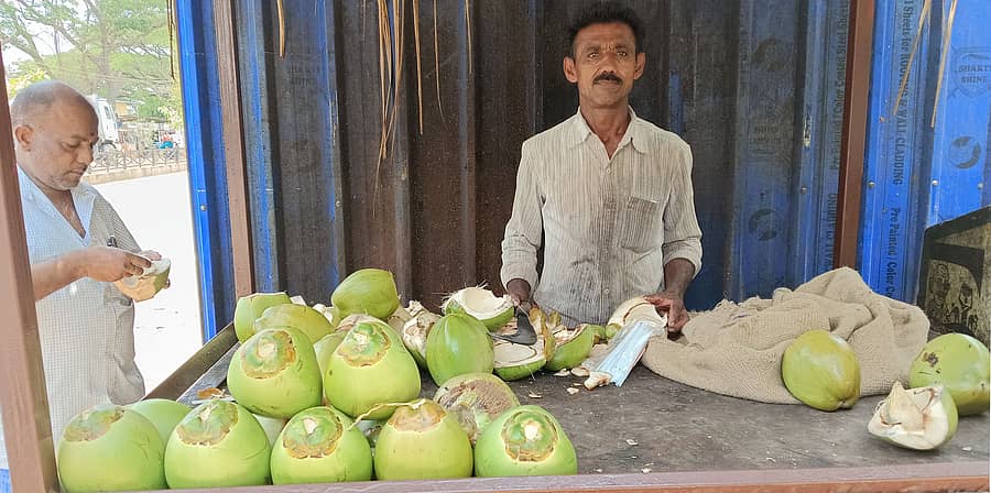 ಸಂತೇಬೆನ್ನೂರಿನ ರಸ್ತೆ ಬದಿ ಎಳನೀರು ವ್ಯಾಪಾರಿ ಸಣ್ಣ ಹಾಲಪ್ಪ