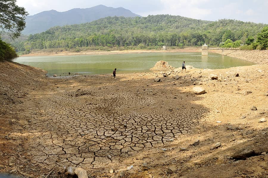 ಚಿಕ್ಕಮಗಳೂರಿನ ಹಿರೆಕೊಳಲೆ ಕೆರೆಯಲ್ಲಿ ನೀರು ತಳ ಸೇರಿರುವುದು – ಪ್ರಜಾವಾಣಿ ಚಿತ್ರಗಳು/ಎ.ಎನ್.ಮೂರ್ತಿ