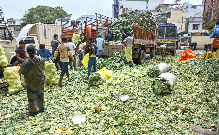 <div class="paragraphs"><p>ಕಲಾಸಿಪಾಳ್ಯದಲ್ಲಿರುವ ಜೆ.ಸಿ. ಮಾರುಕಟ್ಟೆಯಲ್ಲಿ ಕಾರ್ಮಿಕರು ಎಲೆಕೋಸು ಕೆಳೆಗೆ ಇಳಿಸಿಕೊಳ್ಳುತ್ತಿರುವುದು. </p></div>