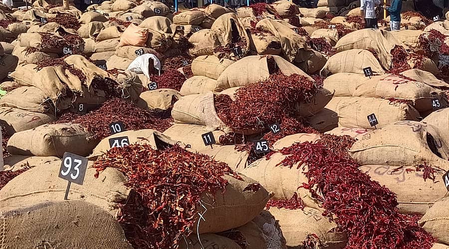 ಬ್ಯಾಡಗಿ ಎಪಿಎಂಸಿಗೆ ಮಾರಾಟಕ್ಕೆ ತಂದಿರುವ ಮೆಣಸಿನಕಾಯಿ ಚೀಲಗಳು (ಸಾಂದರ್ಭಿಕ ಚಿತ್ರ)