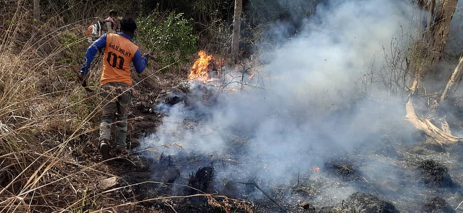 ಹನೂರು ತಾಲೂಕಿನ ಕಾವೇರಿ ವನ್ಯಧಾಮದ ಗೋಪಿನಾಥಂ ವನ್ಯಜೀವಿ ವಲಯದಲ್ಲಿ ಕಾಣಿಸಿಕೊಂಡಿರುವ ಬೆಂಕಿ