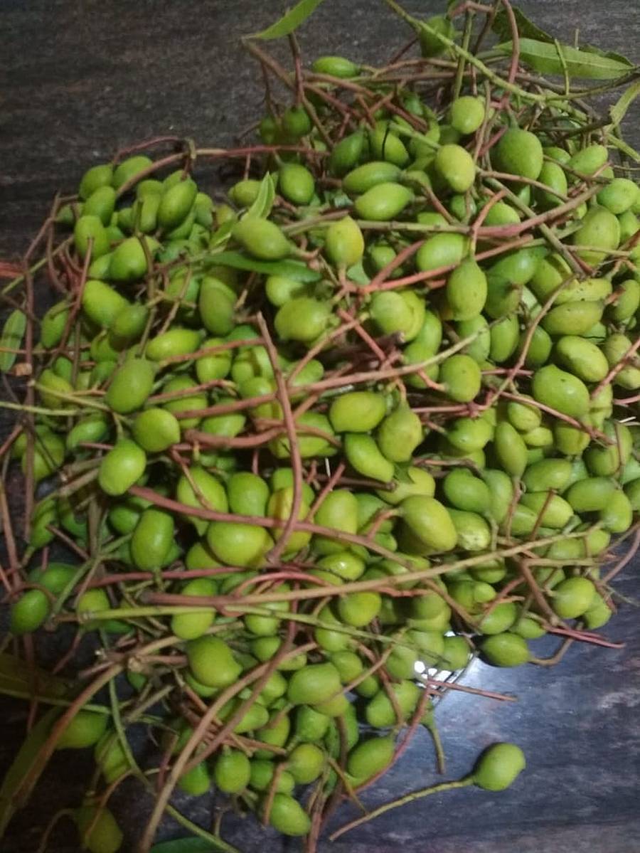 ಅಪ್ಪೆಮಿಡಿ ಗೊಂಚಲು