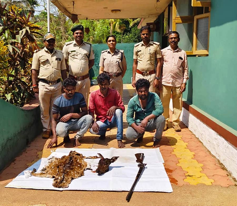 ಕಾರ್ಗಲ್ ಸಮೀಪದ ಶರಾವತಿ ಸಿಂಗಳೀಕ ವನ್ಯಜೀವಿ ಅಭಯಾರಣ್ಯದಲ್ಲಿ ಜಿಂಕೆ ಬೇಟೆ ಮಾಡಿದ ಆರೋಪಿಗಳನ್ನು ಕಾರ್ಗಲ್ ವನ್ಯಜೀವಿ ಅರಣ್ಯ ಇಲಾಖೆಯವರು ಗುರುವಾರ ಬಂಧಿಸಿದರು