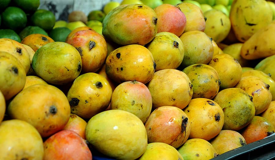 ಮಾವು (ಸಂಗ್ರಹ ಚಿತ್ರ)