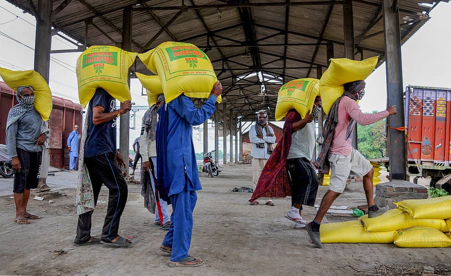 <div class="paragraphs"><p>ಯೂರಿಯಾ ಚೀಲ ಹೊತ್ತ ಕಾರ್ಮಿಕರು&nbsp; &nbsp;</p></div>