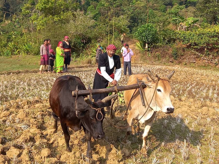 ಕೊಡವರ ಹೊಸ ವರ್ಷ ‘ಎಡಮ್ಯಾರ್’ ಅನ್ನು ಕೊಡವ ನ್ಯಾಷನಲ್ ಕೌನ್ಸಿಲ್ ಅಧ್ಯಕ್ಷ ಎನ್.ಯು.ನಾಚಪ್ಪ ಅವರು  ಮದೆನಾಡಿನ ಬೆಟ್ಟತ್ತೂರು ಗ್ರಾಮದಲ್ಲಿ  ಕೂಪದಿರ ಎನ್.ಮೋಹನ್ ಅವರ ಗದ್ದೆಯಲ್ಲಿ ಭೂತಾಯಿಗೆ ವಿಧಿವತ್ತಾಗಿ ಪೂಜೆ ಸಲ್ಲಿಸಿ ಉಳುಮೆ ಮಾಡಿದರು