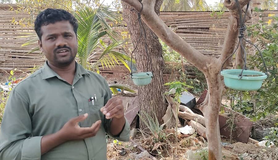 ಮರಗಳಿಗೆ ತೂಗು ಬುಟ್ಟಿಗಳನ್ನು ಕಟ್ಟಿ ಪಕ್ಷಿಗಳಿಗೆ ನೀರುಣಿಸುತ್ತಿರುವ ಸಂತೇಬೆನ್ನೂರು ಸಮೀಪದ ಕೆರೆಬಿಳಚಿ ಗ್ರಾಮದ ವಾಸಿ, ಬೆಸ್ಕಾಂ ನೌಕರ ಹುಸೇನ್ ಸುರಸಂಗಿ