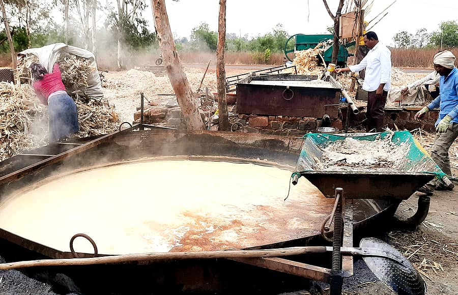 ಬಸವಕಲ್ಯಾಣ ತಾಲ್ಲೂಕಿನ ಮಂಠಾಳ-ಗುಂಡೂರ ರಸ್ತೆಯಲ್ಲಿನ ಹೊಲದಲ್ಲಿನ ಗಾಣದಲ್ಲಿ ಬೆಲ್ಲದ ಪಾಕ ಕುದಿಸುತ್ತಿರುವುದು