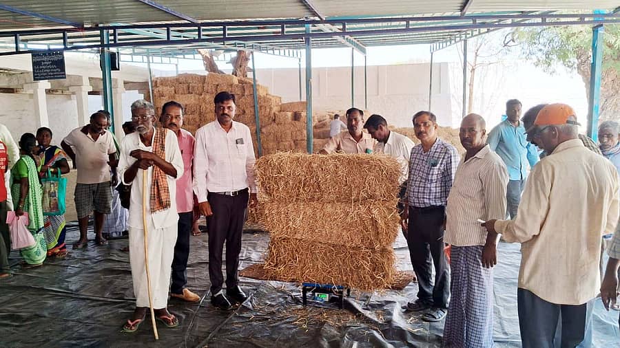 ಪಾವಗಡ ತಾಲ್ಲೂಕು ನಾಗಲಮಡಿಕೆ ಸುಬ್ರಹ್ಮಣ್ಯೇಶ್ವರ ದೇಗುಲದ ಬಳಿ ಶುಕ್ರವಾರ ತಹಶೀಲ್ದಾರ್ ಸಂತೋಷ್ ಕುಮಾರ್ ಮೇವು ಬ್ಯಾಂಕ್ಗೆ ಚಾಲನೆ ನೀಡಿದರು