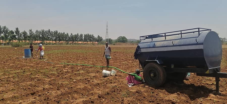 ಜಾವಗಲ್ ಗ್ರಾಮದ ರೈತ ಮಂಜುನಾಥ್ ಹಾಗೂ ಅವರ ಕುಟುಂಬದ ಸದಸ್ಯರುಗಳು ಟ್ಯಾಂಕರ್ ಮೂಲಕ ನೀರು ತಂದು, ಬಳಿಕ ಕೊಡದಿಂದ ನೀರನ್ನು ತಮ್ಮ ಹತ್ತಿ ಬೆಳೆಗೆ ನೀರೊದಗಿಸುತ್ತಿರುವುದು.