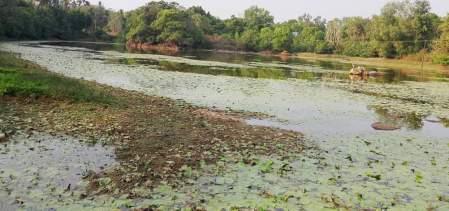 ಐತಿಹಾಸಿಕ ಕಟ್ಟಿಂಗೇರಿ ಕೆರೆ