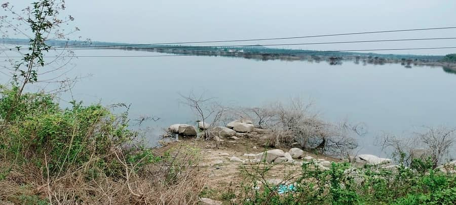 ಬರಗಾಲದಲ್ಲೂ ನಳನಳಿಸುತ್ತಿರುವ ವಿಷ್ಣುಸಮುದ್ರ ಕೆರೆ