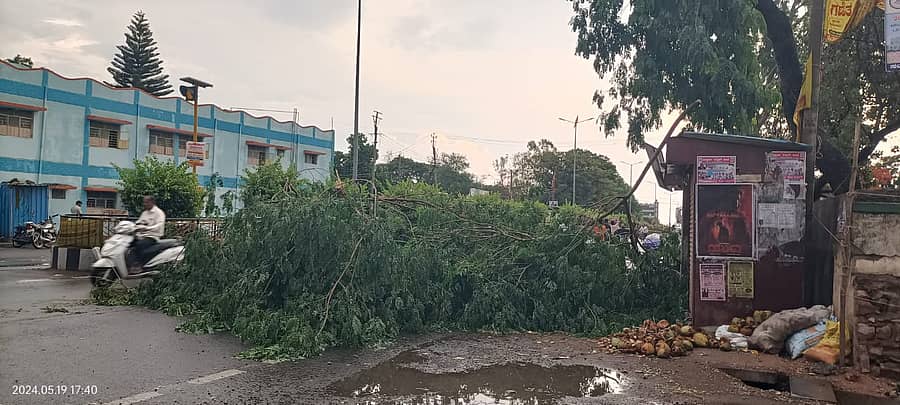 ಮುದ್ದೇಬಿಹಾಳದ ಹುಡ್ಕೊ ಗೇಟ್ ಮುಂದೆ ಭಾನುವಾರ ಗಾಳಿ–ಮಳೆಗೆ ಮರವೊಂದು ರಸ್ತೆ ಮೇಲೆ ಬಿದ್ದಿದೆ