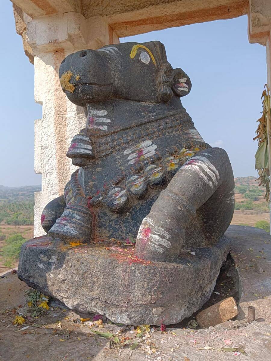 ಮಾಗಡಿ ಸೋಮೇಶ್ವರ ಸ್ವಾಮಿ ದೇಗುಲ ಹಿಂಭಾಗದಲ್ಲಿ ನೆಲೆಸಿರುವ ಚಕ್ರ ಬಸವಣ್ಣ ಸ್ವಾಮಿ ವಿಗ್ರಹವನ್ನು ನಿಧಿ ಆಸೆಗಾಗಿ ಕಳ್ಳರು ಅರ್ಧ ಅಡಿ ಪಕ್ಕಕ್ಕೆ ಸರಿಸಿರುವುದು