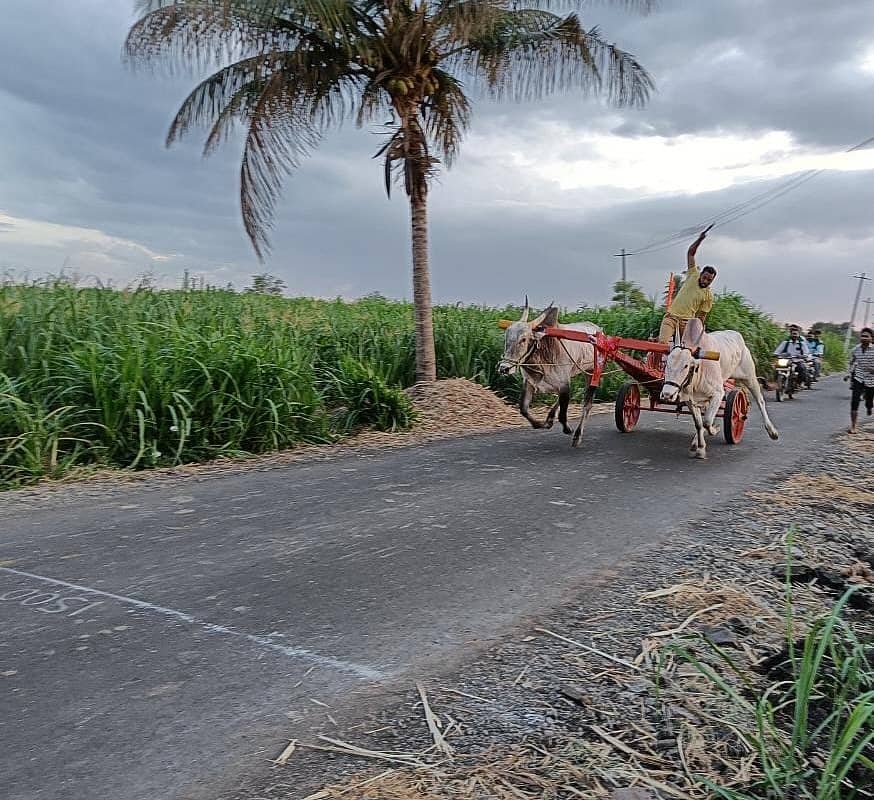 ಮಹಾಲಿಂಗಪುರ ಸಮೀಪದ ಬಿಸನಾಳ ಗ್ರಾಮದಲ್ಲಿ ಜೋಡೆತ್ತಿನ ಗಾಡಿ ಸ್ಪರ್ಧೆ ನಡೆಯಿತು
