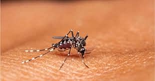 <div class="paragraphs"><p>ಸಾಂದರ್ಭಿಕ ಚಿತ್ರ</p></div>