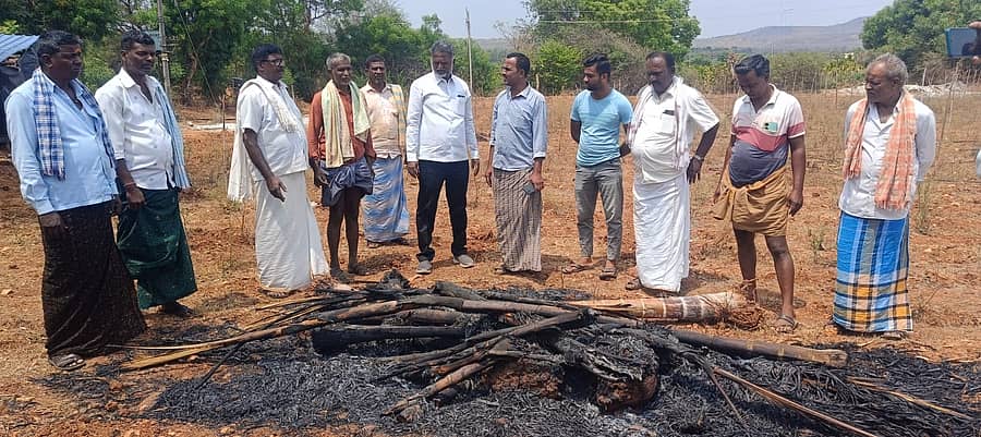 ಅಡಿಕೆ ಮರಗಳನ್ನು ನಾಶ ಮಾಡಿದ ದಾವಣಗೆರೆ ತಾಲ್ಲೂಕಿನ ಹೊನ್ನನಾಯಕನಹಳ್ಳಿ ಗ್ರಾಮದ ರೈತನ ಜಮೀನಿಗೆ ಶಾಸಕ ಕೆ.ಎಸ್. ಬಸವಂತಪ್ಪ ಭೇಟಿ ನೀಡಿ ಪರಿಶೀಲನೆ ನಡೆಸಿದರು.