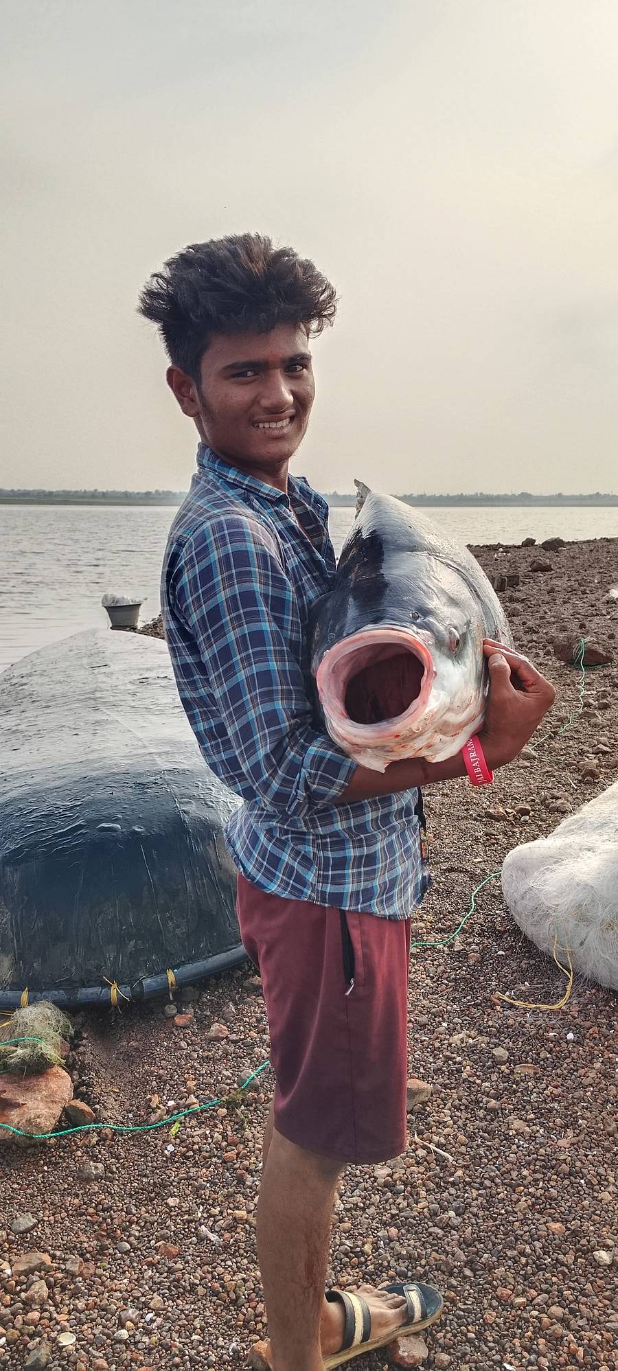 ಆಲಮಟ್ಟಿಯ ಮೀನುಗಾರ ಭರತ ಯಮನೂರಿ ಸಾಳೆ ಅವರ ಬಲೆಗೆ ಗುರುವಾರ ಬಿದ್ದ 38 ಕೆಜಿ ತೂಕದ ಕಾಟ್ಲಾ ಮೀನು