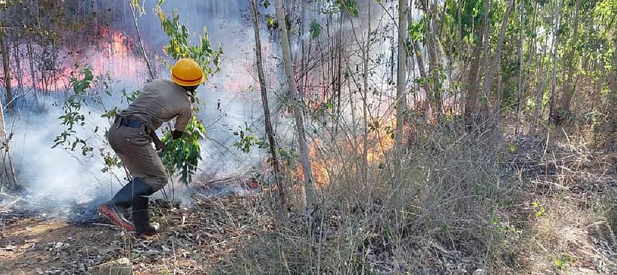 ಕೋಲಾರ ಜಿಲ್ಲೆಯಲ್ಲಿ ಬೆಂಕಿ ನಂದಿಸಿದ ಅಗ್ನಿಶಾಮಕ ದಳದ ಸಿಬ್ಬಂದಿ