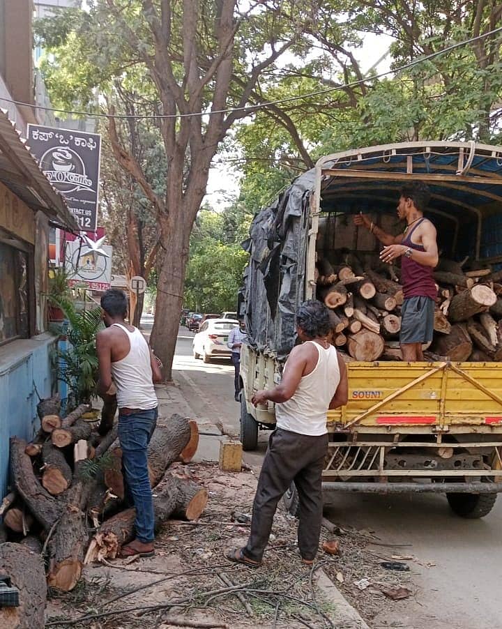 ಬಿಬಿಎಂಪಿ ವ್ಯಾಪ್ತಿಯಲ್ಲಿ ಧರೆಗುರುಳಿದ ಮರಗಳನ್ನು ಕಟಾವು ಮಾಡಿ ಅದನ್ನು ಅರಣ್ಯ ವಿಭಾಗದ ಸಿಬ್ಬಂದಿ, ಡಂಪಿಂಗ್ ಯಾರ್ಡ್ಗಳಿಗೆ ಸಾಗಿಸಿದರು