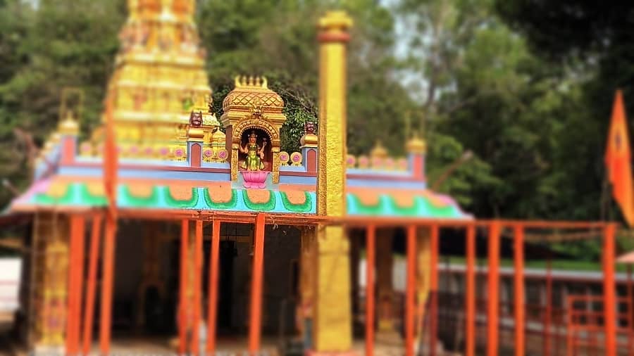 <div class="paragraphs"><p>ಪ್ರಾತಿನಿಧಿಕ ಚಿತ್ರ</p></div>