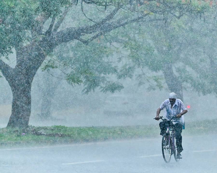 <div class="paragraphs"><p>ಮೈಸೂರಿನ ಡಾ. ಶಿವಕುಮಾರ ಸ್ವಾಮೀಜಿ ವೃತದಲ್ಲಿ ಸೋಮವಾರ ಸುರಿದ ಮಳೆಯಲ್ಲೇ ಬೈಸಿಕಲ್ ಸವಾರರೊಬ್ಬರು ಸಾಗಿದರು. </p></div>