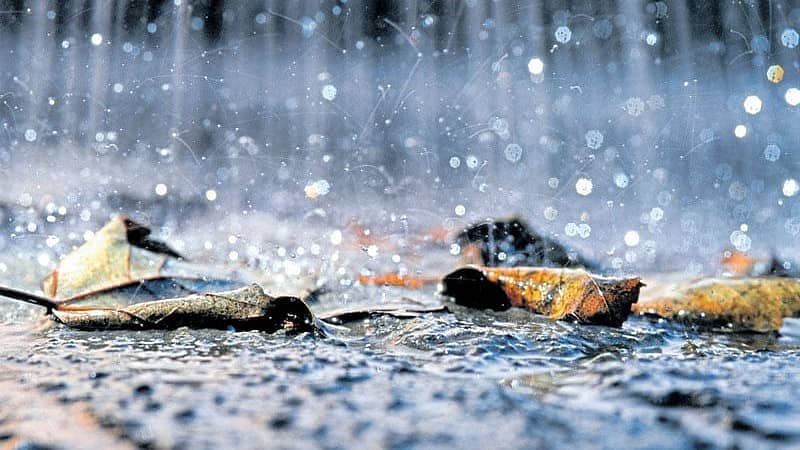 <div class="paragraphs"><p>ಸಾಂದರ್ಭಿಕ ಚಿತ್ರ</p></div>