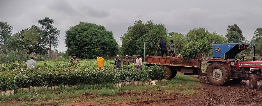 ಸಂಡೂರು ಅರಣ್ಯ ದಕ್ಷಿಣ ವಲಯದ ಅಂಕಮ್ಮನಾಳ್ ನರ್ಸರಿಯಿಂದ ಅರಣ್ಯ ಪ್ರದೇಶದಲ್ಲಿ ನೆಡಲು ಇಲಾಖೆ ಸಿಬ್ಬಂದಿ ಟ್ರ್ಯಾಕ್ಟರ್ ಮೂಲಕ ಗಿಡಗಳನ್ನು ಕೊಂಡೊಯ್ದರು