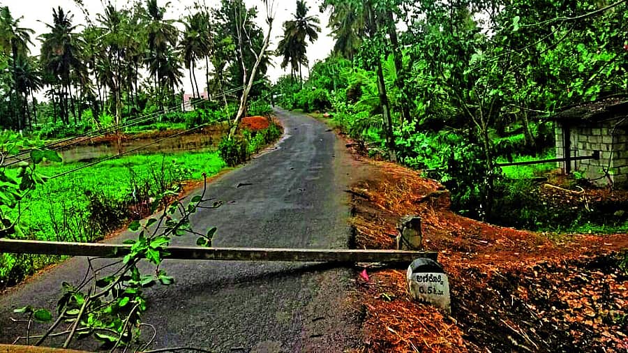 <div class="paragraphs"><p>ಹಾರೋಹಳ್ಳಿ ತಾಲ್ಲೂಕಿನಲ್ಲಿ ಮಳೆ–ಗಾಳಿ ಅಬ್ಬರಕ್ಕೆ ರಸ್ತೆಗೆ ಬಿದ್ದಿರುವ ವಿದ್ಯುತ್ ಕಂಬ</p></div>