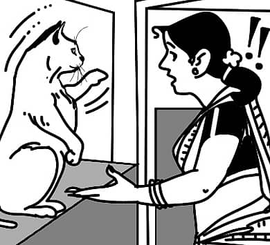 <div class="paragraphs"><p>ಚುರುಮುರಿ:</p></div>