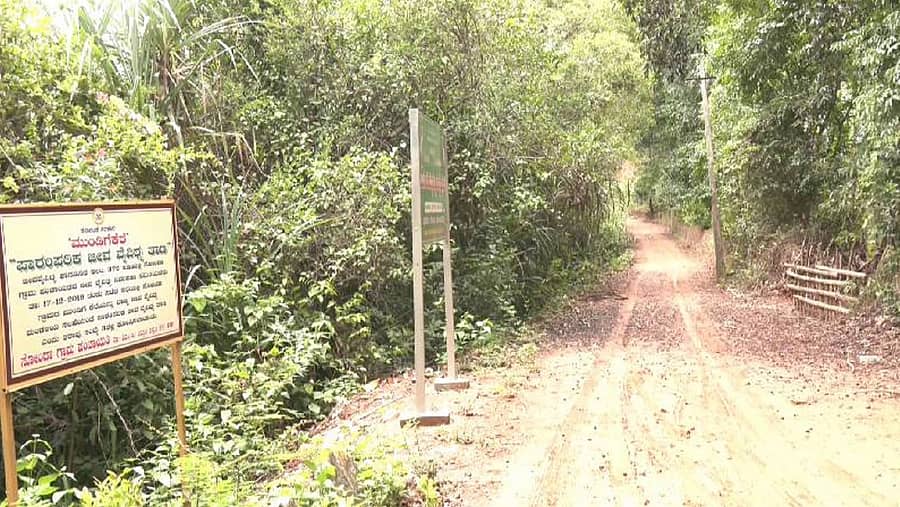 ಶಿರಸಿ ತಾಲ್ಲೂಕಿನ ಮುಂಡಿಗೆಕೆರೆ ಪಕ್ಷಿಧಾಮಕ್ಕೆ ಸಾಗುವ ಕಚ್ಚಾ ರಸ್ತೆ