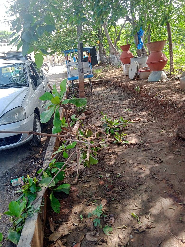 ರಾಮಕೃಷ್ಣಪ್ಪ ಲೇಔಟ್ ಬಳಿಯ ಇಂದಿರಾ ಕ್ಯಾಂಟೀನ್ನಿಂದ ಸುಮನಹಳ್ಳಿ ಕೆಳಸೇತುವೆ ರಸ್ತೆಯ ಎರಡು ಪಾದಚಾರಿ ಮಾರ್ಗದಲ್ಲಿ ಬಿಬಿಎಂಪಿ ಮಣ್ಣು ತೆಗೆದಿರುವುದರಿಂದ ಮರಗಳು ಬಿದ್ದಿರುವುದು