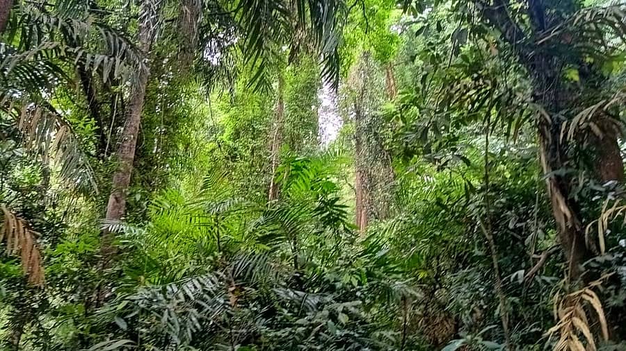 <div class="paragraphs"><p>ಸಾಂದರ್ಭಿಕ ಚಿತ್ರ</p></div>