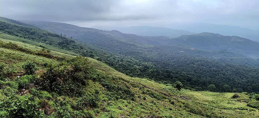 ಚಿಕ್ಕಮಗಳೂರು ಜಿಲ್ಲೆಯ ಚಂದ್ರದ್ರೋಣ ಪರ್ವತ ಸಾಲು ಹಸಿರಿನಿಂದ ಕಂಗೊಳಿಸುತ್ತಿರುವುದು –ಪ್ರಜಾವಾಣಿ ಚಿತ್ರಗಳು/ಎ.ಎನ್.ಮೂರ್ತಿ