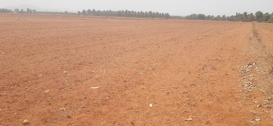 ಹೊಸದುರ್ಗದ ಕಾರೇಹಳ್ಳಿಯಲ್ಲಿ ರೈತರು ಭೂಮಿಯಲ್ಲಿ ಒಣ ಬೇಸಾಯ ಮಾಡಿರುವುದು 