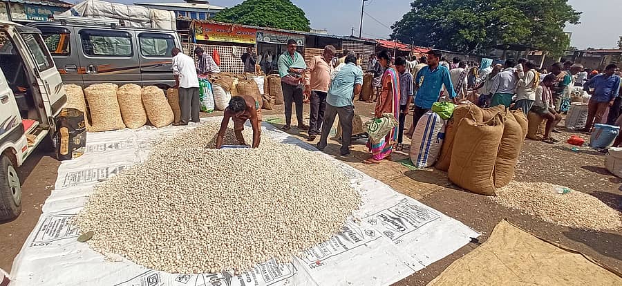 ರಾಣೆಬೆನ್ನೂರಿನ ಎಪಿಎಂಸಿ ಉಪಪ್ರಾಂಗಣದಲ್ಲಿ ಭಾನುವಾರ ಮುಂಗಾರು ಹಂಗಾಮಿಗೆ ಬಿತ್ತನೆ ಮಾಡಲು ಬೆಳ್ಳುಳ್ಳಿ ಬೀಜದ ವ್ಯಾಪಾರ ವಹಿವಾಟು ಜೋರಾಗಿದ್ದು ಕಂಡು ಬಂದಿತು. 