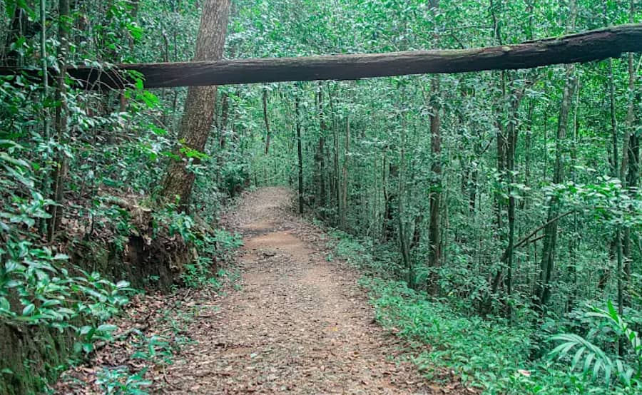 ಶಿರಸಿ ತಾಲ್ಲೂಕಿನ ಬೆಣ್ಣೆಹೊಳೆ ಜಲಪಾತಕ್ಕೆ ಸಾಗುವ ಕಿರಿದಾದ ಕಚ್ಚಾರಸ್ತೆ