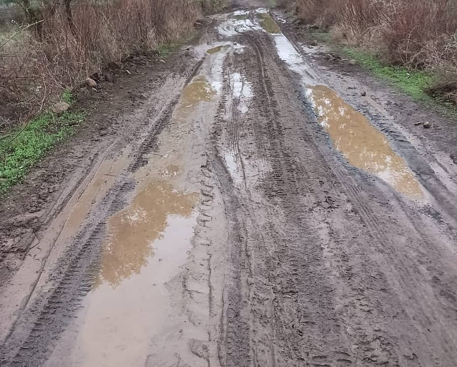 ಕಮಲಾಪುರ ತಾಲ್ಲೂಕಿನ ಗೋಗಿ (ಕೆ) ಗ್ರಾಮದ ರಸ್ತೆ ಹದಗೆಟ್ಟಿರುವುದು