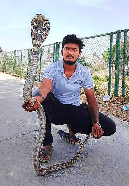 ಉರಗ ರಕ್ಷಕ ಸ್ನೇಕ್ ರಾಯ