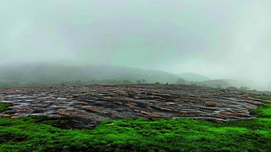 <div class="paragraphs"><p>ಸಾಂದರ್ಭಿಕ ಚಿತ್ರ </p></div>