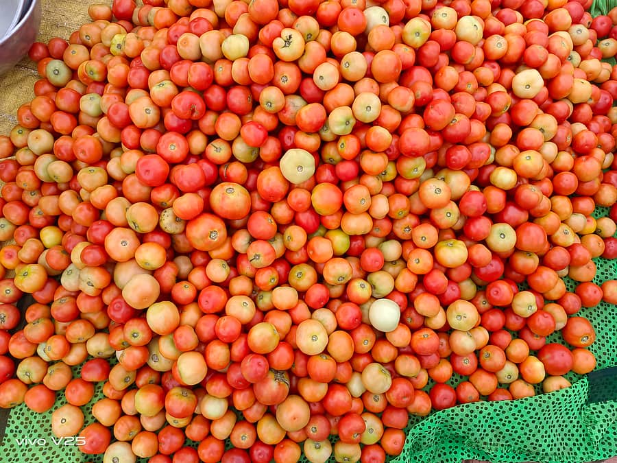 ಬಾಗಲಕೋಟೆ ಸಂತೆಯಲ್ಲಿದ್ದ ಟೊಮೆಟೊ