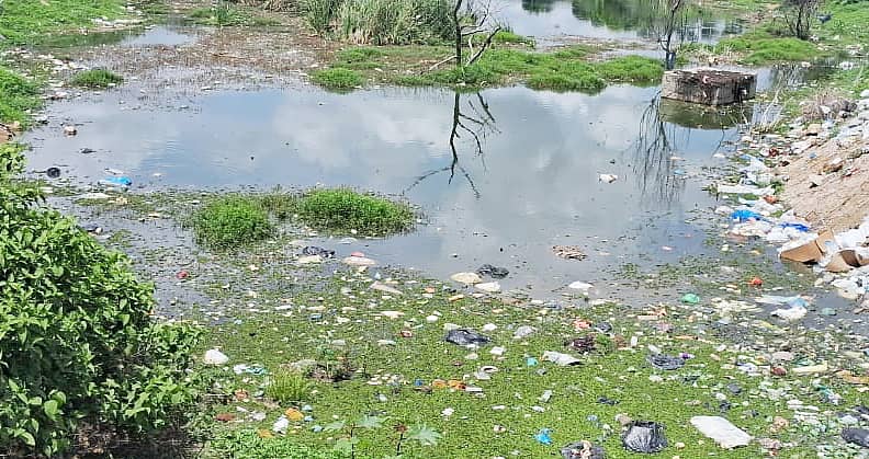 ತುಮಕೂರು ಹೊರವಲಯದ ಮರಳೂರು ಕೆರೆ ನೀರು ಕಲುಷಿತಗೊಂಡಿರುವುದು