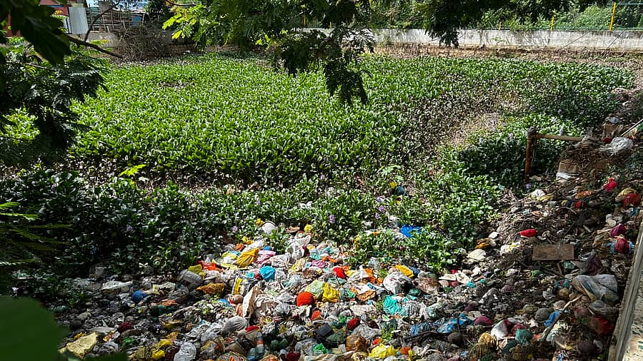 ಕಸದಿಂದ ತುಂಬಿರುವ ಚಿತ್ರದುರ್ಗ ನಗರದ ಕೆಂಚಮಲ್ಲಪ್ಪನ ಹೊಂಡ