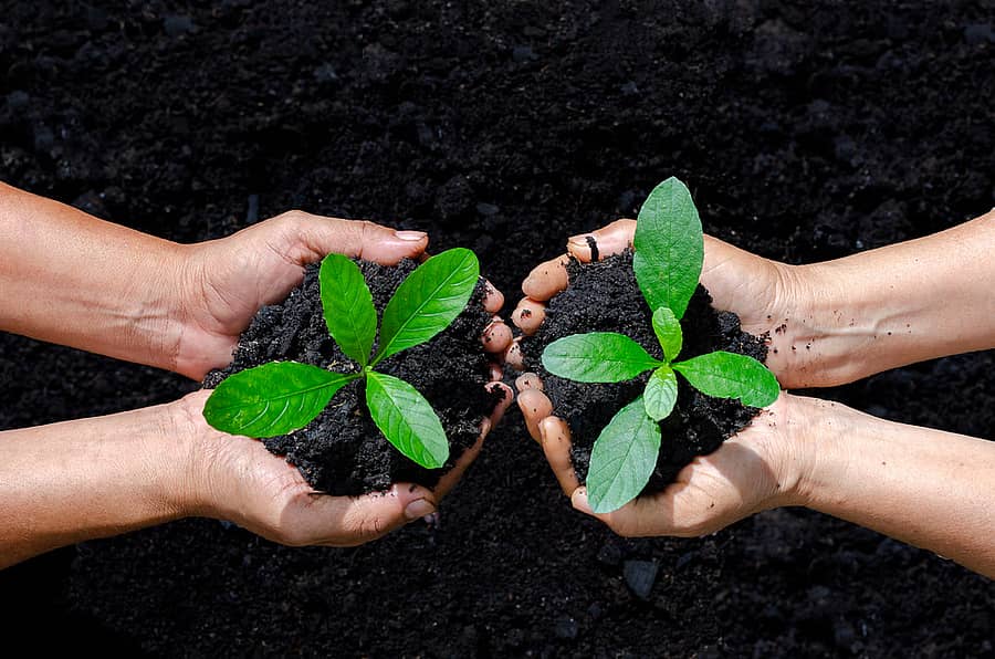 <div class="paragraphs"><p>ಸಾಂದರ್ಭಿಕ ಚಿತ್ರ</p></div>