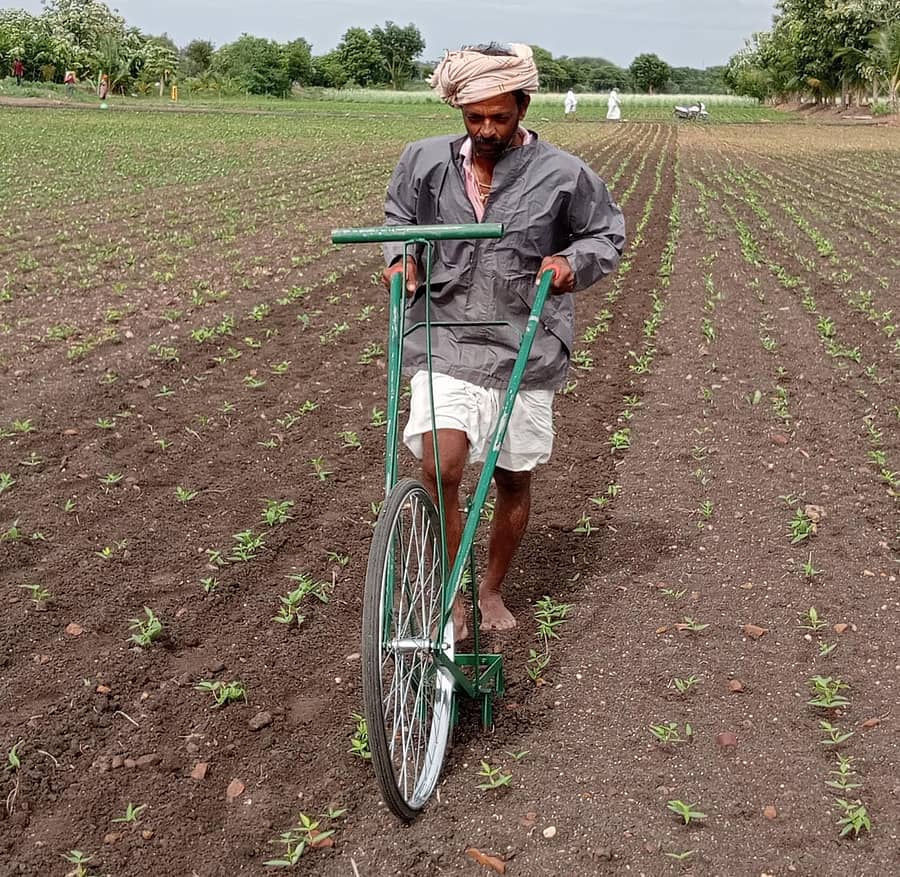 ಉಪ್ಪಿನಬೆಟಗೇರಿಯಲ್ಲಿ ಸೈಕಲ್ ಎಡೆಕುಂಟೆಯಲ್ಲಿ ಕಳೆ ತೆಗೆದ ರೈತ