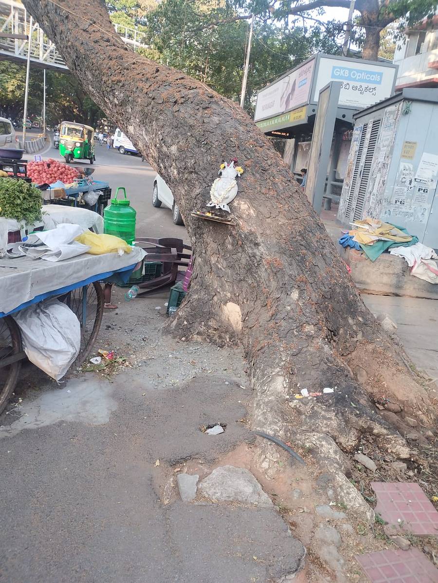 ಎನ್.ಆರ್. ಕಾಲೊನಿಯ ಬಸ್ ನಿಲ್ದಾಣದ ಬಳಿ ಮರವೊಂದು ವಾಲಿರುವುದು