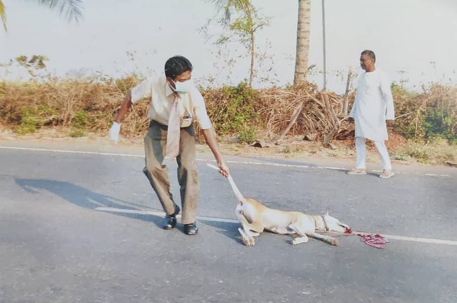 ಅಪಘಾತಕ್ಕೀಡಾಗಿ ಮೃತಪಟ್ಟಿದ್ದ ನಾಯಿಯನ್ನು ಡಾ.ಮಹಾಂತೇಶ ರಾಮಣ್ಣವರ ರಸ್ತೆಬದಿಗೆ ಒಯ್ಯುತ್ತಿರುವುದು