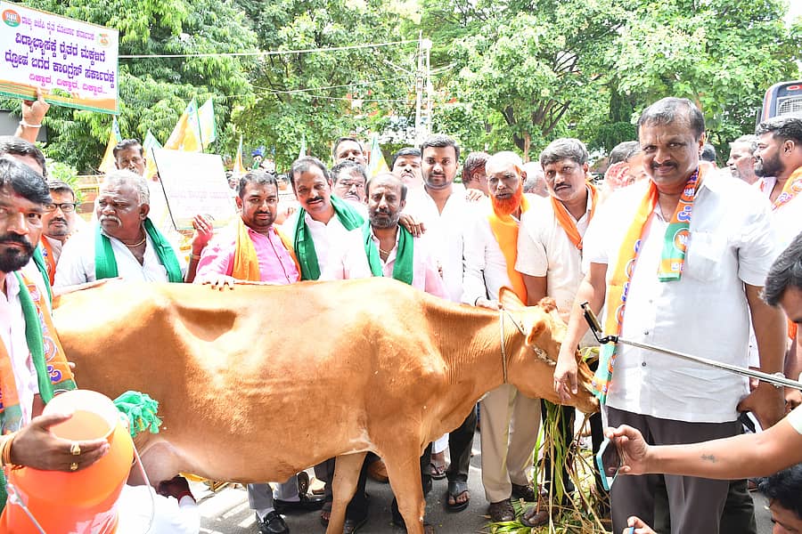 <div class="paragraphs"><p>ತುಮಕೂರು ಜಿಲ್ಲಾಧಿಕಾರಿ ಕಚೇರಿ ಮುಂಭಾಗ ಶನಿವಾರ ಬಿಜೆಪಿ ರೈತ ಮೋರ್ಚಾದಿಂದ ಹಾಲಿನ ಪ್ರೋತ್ಸಾಹಧನ ಬಿಡುಗಡೆ ಸೇರಿ ವಿವಿಧ ಬೇಡಿಕೆಗಳ ಈಡೇರಿಕೆಗೆ ಆಗ್ರಹಿಸಿ ಹಸು ಕಟ್ಟಿ, ಹಾಲು ಕರೆದು ವಿಭಿನ್ನ ರೀತಿಯಲ್ಲಿ ಪ್ರತಿಭಟನೆ ನಡೆಸಲಾಯಿತು.</p></div>